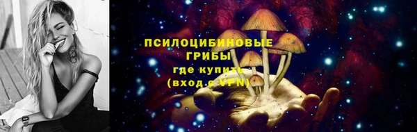 соль ск Белокуриха