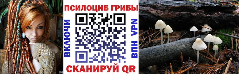 Галлюциногенные грибы Psilocybe  Безенчук 